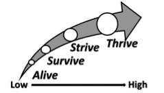 Figure 1.  Alive, Survive, Strive, Survive Conceptual Sustainability Taxonomy